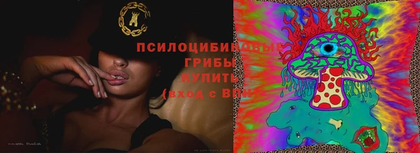 ПСИЛОЦИБИНОВЫЕ ГРИБЫ Приозерск
