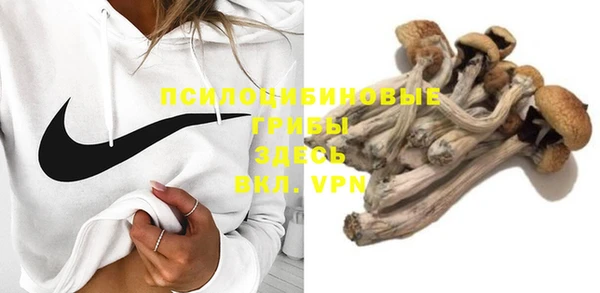 прущие крисы Пролетарск
