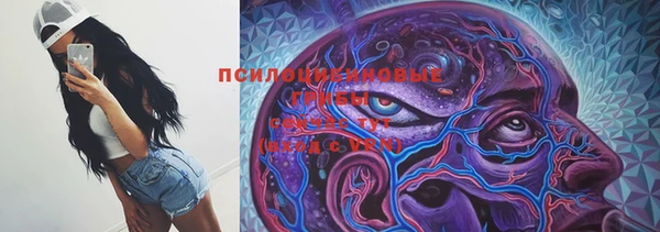 ПСИЛОЦИБИНОВЫЕ ГРИБЫ Приозерск