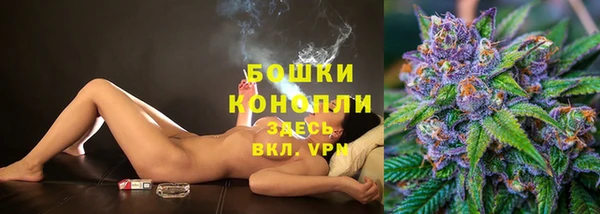 ПСИЛОЦИБИНОВЫЕ ГРИБЫ Приозерск