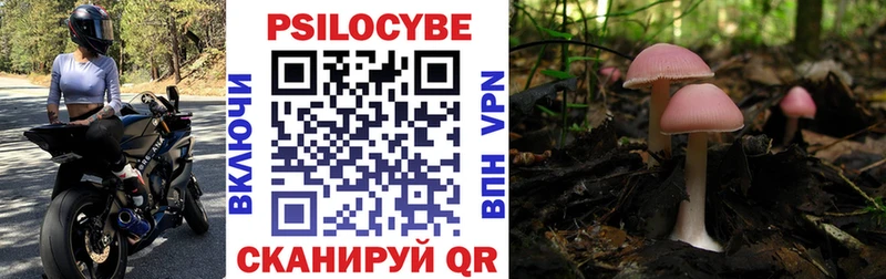 Галлюциногенные грибы прущие грибы Ак-Довурак